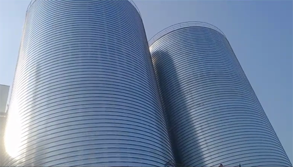 阳江镇2座混凝土高架卷板仓